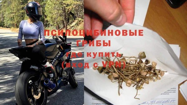 амф Алексеевка