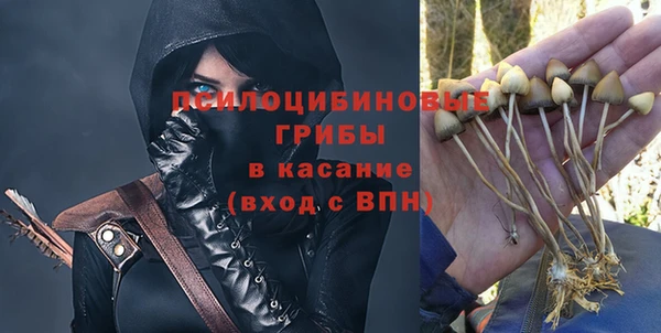 крисы Алексин