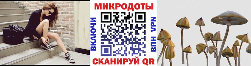 Купить  Еманжелинск  Галлюциногенные грибы Magic Shrooms 